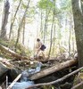 photo thumbnail #5