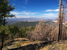 photo thumbnail #9
