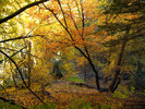 photo thumbnail #13