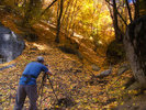 photo thumbnail #14