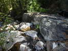 photo thumbnail #7
