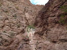 photo thumbnail #11
