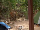 photo thumbnail #12