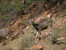 photo thumbnail #13