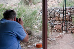 photo thumbnail #12