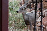 photo thumbnail #13