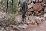photo thumbnail #15