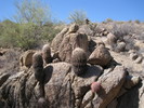 photo thumbnail #1