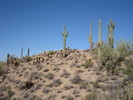 photo thumbnail #4
