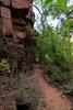 photo thumbnail #13