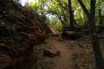 photo thumbnail #15