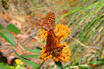 photo thumbnail #2