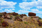 photo thumbnail #1