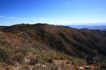 photo thumbnail #8