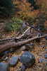 photo thumbnail #10
