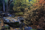 photo thumbnail #11