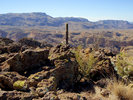 photo thumbnail #9