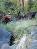 photo thumbnail #13