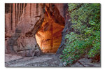 photo thumbnail #1