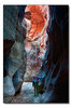photo thumbnail #8