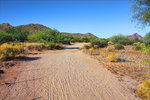 photo thumbnail #1