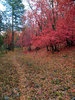 photo thumbnail #10