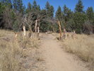 photo thumbnail #11