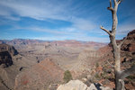 photo thumbnail #10