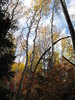 photo thumbnail #11