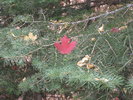 photo thumbnail #14