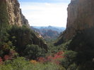 photo thumbnail #6