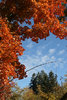 photo thumbnail #15