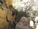 photo thumbnail #12