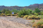 photo thumbnail #8