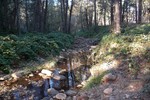photo thumbnail #2