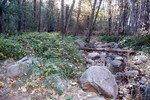 photo thumbnail #3