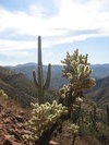 photo thumbnail #5