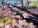 photo thumbnail #10
