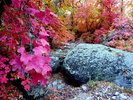 photo thumbnail #14