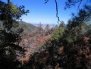 photo thumbnail #4