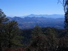photo thumbnail #5