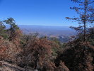 photo thumbnail #8