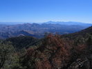 photo thumbnail #9