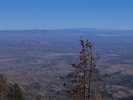 photo thumbnail #12