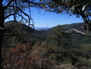 photo thumbnail #13