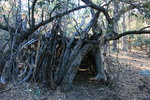 photo thumbnail #2