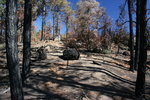 photo thumbnail #3
