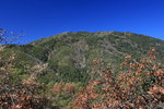 photo thumbnail #10