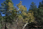 photo thumbnail #14