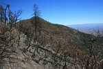 photo thumbnail #15